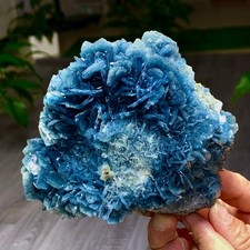1.97LB Natural blue barite Petal crystal mineral specimen/Morocco picture