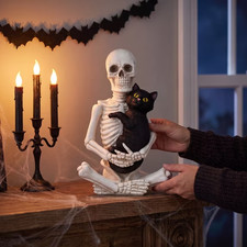 Black Cat Skull Halloween Decoration Figurine Gothic Home Decor picture