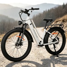 Paselec X8 27.5'' Electric Bicycle for Adults 1000W Peak 48V/16Ah E-Bike 8 Speed picture