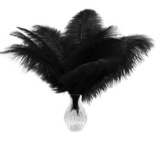 Piokio 20pcs Natural Black Ostrich Feathers 10-12 inch 10-12