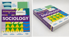 NEW Introduction to Sociology 13th Seagull Edition Giddens Duneier Appelbaum Car picture