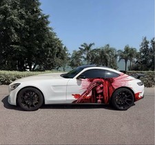 Skeleton Car Decal; Skull Car Decal; Cool Car Decals Both Sides; Car Livery picture