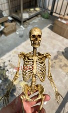 1/6 Scale 30cm Vintage Weathered Resin Full Skeleton Model Scene Decor Gift Toy picture