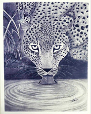 Mama Leopard, Baby Leopards, Brown Horse & Bark At The Moon Giclee Prints picture