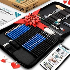 Professional Drawing Artist Sketching Set Pencils and Sketch Charcoal Art & Case picture
