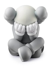 Kaws Separated 2021 Grey Figure picture