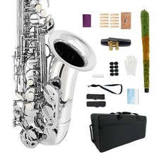 Silver Eb Alto Saxophone Kit for Beginners and Musician with sax parts picture
