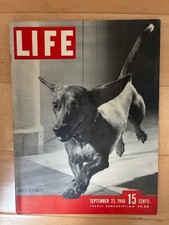VTG. LIFE MAGAZINE Sept 23 , 1946 CATS PLAYMATE picture