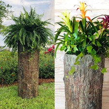 Bushy Box 🌳 Large Hollow Log Planter. Outdoor Garden, Well and Cable Box Cover picture