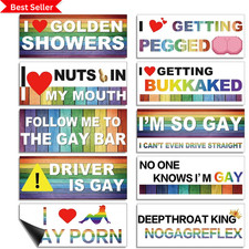 Frienda 10 Pcs Bumper Decals Funny LGBT Stickers Magnetic, Classic Style picture