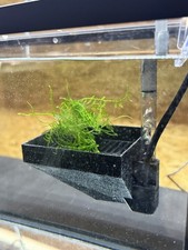 Egg Vac Large - Automatic Fish Egg Collector picture