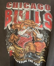 Vintage 90s Chicago Bulls Salem T-Shirt XL Stampeding Court NBA Distressed picture