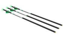 CenterPoint Premium 20 inch Arrow w Lighted Nocks 3pk picture