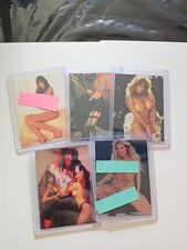 1990s Scream Queens 5 Pack Assorted AUTOGRAPHS Jasmine St James RARE EROCTICA picture