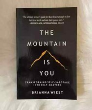 THE MOUNTAIN IS YOU BY BRIANNA WIEST PAPERBACK  picture