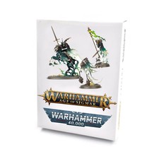 Nighthaunt: Ethereal Court NO BOX Knight Shrouds Guardian Souls Torment Sigmar picture