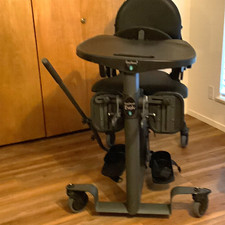EasyStand Evolv Movement Trainer w/ Tray, 4 Wheels, Adult, Gray/Black picture