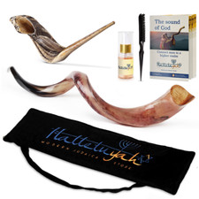 HalleluYAH Yemenite kudu Shofar polish From Israel Plus Free Bonus Ram Horn picture