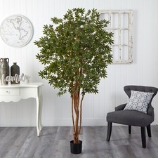 6’ Japanese Maple Artificial Tree with Natural Trunk  Home Decor. Retail $266 picture