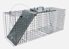 Easy Set Animal Trap Raccoons Cats Groundhogs Opossums Armadillos Havahart 1085  picture