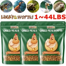 1-44Lbs Bulk Dried Mealworms Non-GMO Meal Treats for Wild Bird Chicken Hen LOT picture
