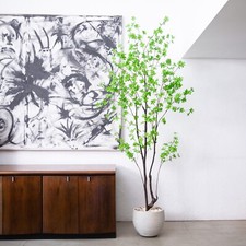 8’ Artificial Minimalist Enkianthus Tree Home Decor. Retail $309 picture