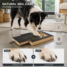 Dog Nail Scratch Board With Treat Box, Wooden Dog Nail File Training Board picture