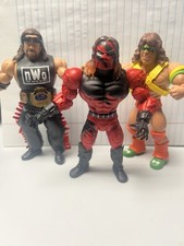 Wwe Super Stars Diesel & He-man Line Warrior & Kane Lot picture