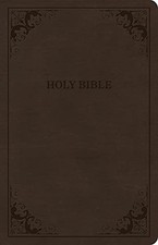 CSB Thinline Bible, Brown Leat - GOOD picture