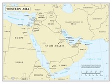 West Asia Political Administrative Physical Waterways Region Map Print picture