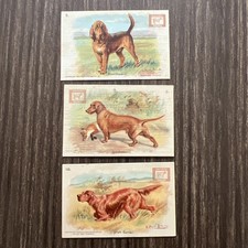 3 Vintage Dwight's Soda Champion Dog Series Trade Card 2, 5, 18 Bloodhound picture