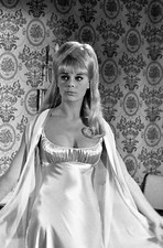 Actress Elke Sommer Classic Pin up Publicity Picture  Photo Print 8x10 picture