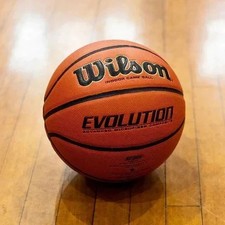 WILSON Men's Evolution Game Basketball (29.5