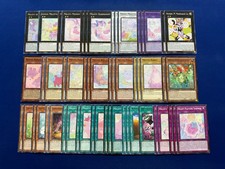 Yu-Gi-Oh - Complete Melffy Xyz Deck picture