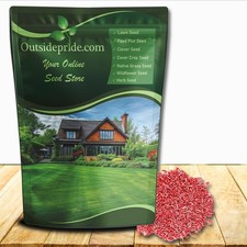 10 LBS - OptiGrowth Coated Kentucky Bluegrass Seed For Lawns - Bluegrass picture