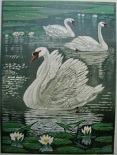 Ukrainian Soviet Linocut engraving symbolism lake swan lilies birds picture