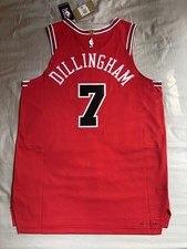 Nike Authentic Rob Dillingham Chicago Bulls Icon Jersey Size 48 Large picture