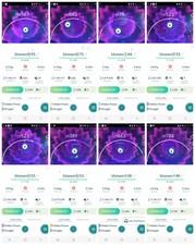 All Shiny UNOWN Letters Pokemon Ultra Friends / Registered Go picture