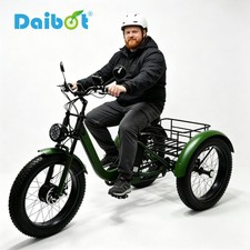 Daibot 750W 24 Inch Fat Tire Mobility Trike for Adults All Terrain Shopping picture