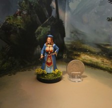 Custom Dungeons & Dragons Painted Female Royal Scholar Miniature D&D DnD  picture