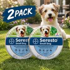 2X Adjustable Dogs Collar for Small Dogs Soft Durable Comfortable Pet Collar US picture