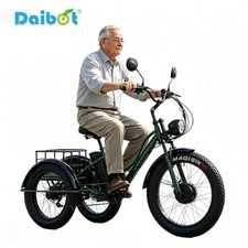 Daibot 750W 48V 24Inch Electric Trike Adult 7Speed Removable Battery Fat Tire picture