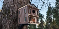 Western Saloon Bird House, Garden Decor picture