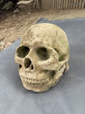 Antique Stoneware Skull Architectural Salvage  & no Customs. picture