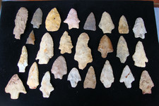 25 Field Points Deep South Arrowhead ~75~ picture
