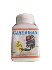 NUEVO SELLADO GASTRISAN  500 MG X 90 CAPSULES DIGESTIVO capsulas  picture