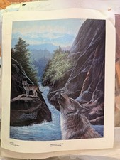Vintage Wolves Howling Canyon Wilderness River Decorative PRINT Art picture