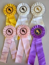 Hunter Seat Equitation Horse Show Ribbons Awards Equestrian Events Hunter Jumper picture
