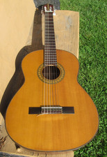 Most Rare  Number 115  Toyota  Classical Guitar  Rosewood sides and back ~ NICE picture