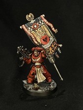 Pro Painted SPACE MARINE ANCIENT Warhammer 40K 11th Edition Armageddon picture
